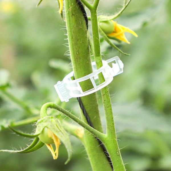 Fournitures de jardin Autres 50/100 pièces/ensemble Clips de Support de plantes en plastique réutilisables plantes suspendues vigne serre légumes tomates Clip