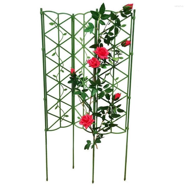 Cadre d'escalade pour plantes, fournitures de jardin, Support de raisin pliable multifonctionnel, décor de couloir pour votre cour ou votre extérieur