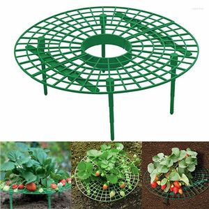 Support rond en plastique pour plantes à fraises, fournitures de jardin, cadre de vigne grimpante, Support de plantation de balcon, étagère de Support de fruits