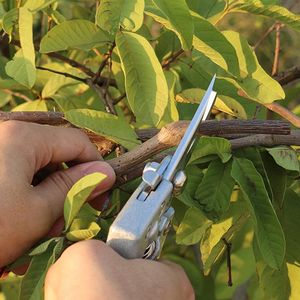 Outil de jardin Pince à élaguer en métal Outils de greffage Cisailles pour arbres fruitiers Sécateurs à bonsaï Sécateur de jardinage Coupe-branche RH6317