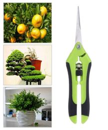 Outils de jardin Seccateurs Bonsaï Cisaïs Metal Gardening Scissor Trogning Tournette à main Cutter Fruit Cueillette Maison Maison Potted2462918565