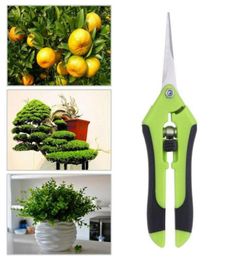 Herramientas de jardín Secateurs Bonsai Shears Metal Gardening Tisor Procedor Herramienta Cortador de mano Grape Frunta Potted2463227541