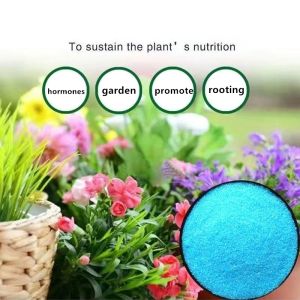 Engrais soluble dans l'eau du jardin pour plantes Fleurs Bonsaï succulentes 20-20-20 + TE NPK Fertilizer composé avec élément trace