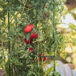 Tuinierende planten staken verbinden staven, doe -het -zelf tuinbeugel accessoires, gebruikt om te repareren en te bouwen, 6 pc's