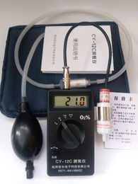 Analyseurs de gaz Compteur de concentration d'oxygène Testeurs de teneur en oxygène Mètres Détecteur Testeur CY-12C Analyseur numérique d'O2 0-5%0-50% 0-100%