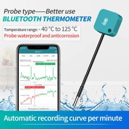 Meters Bluetooth -temperatuurvochtigheidssensor met sondegegevensloggermeter Controller Measurement Thermometer Hygrometer Remote Alarm