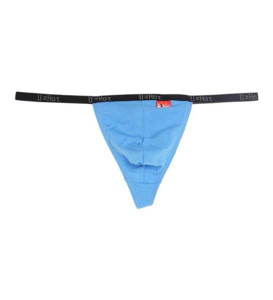 Ropa interior para hombres gay tanga de tiro bajo sin costuras cómodo tanga de algodón Tstring gstring men039s calzoncillos lencería azul 110027938997