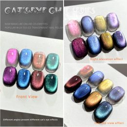 Gel 9d kameleon magnetische kat oog nagelgellaklang langdurige Galaxy Star Shining Magnet Cat oog nagels Nail Art Soak UV LED -gel af