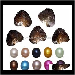 Edelstenen ronde oester 6-8 mm 20 mix kleur groot zoet water geschenk diy natuurlijke parel losse kralendecoraties vacu￼m verpakking epacket l2bh4