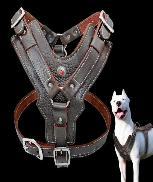 Véritable harnais de chien en cuir pour gros chiens gilet d'entraînement pour animaux de compagnie avec poignée de contrôle rapide réglable pour Labrador Pitbull K98411851