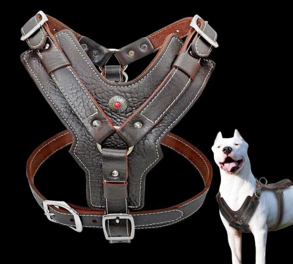 Harnais pour chien en cuir véritable pour grands chiens, gilet d'entraînement pour animaux de compagnie avec poignée de contrôle rapide réglable pour Labrador Pitbull K95957736