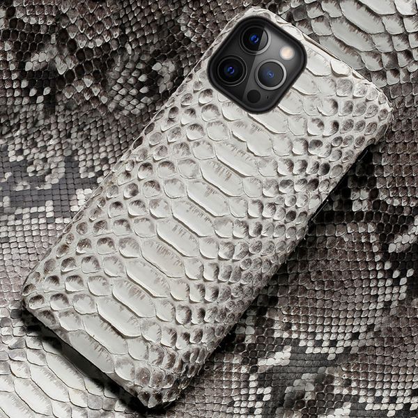 Coque de téléphone en cuir de python véritable 12 12 Mini 11 Pro Max X XS max XR 5s 6 6s 7 8 Plus SE 2020 housse en peau de serpent