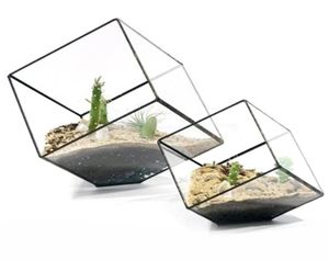 Cubes géométriques Terrarium en verre, décoration de maison, plante charnue, porte-fleurs, Vase Pot Y031427069935397483