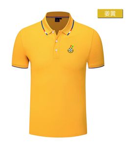 POLO national du Ghana pour hommes et femmes, brocart de soie, T-shirt de sport à manches courtes, à revers, LOGO personnalisable