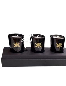 Geschenkdoos Set van 3 kaarsen Geurende Candle VIP Colllection C Home Decoratie Xmas Gift3455143