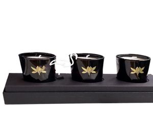 Geschenkdoos Set van 3 kaarsen Geurende kaarsen VIP Colllection C Home Decoratie Xmas Gift3009956