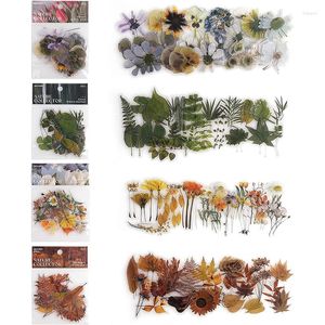 Geschenkverpakking 160 stks transparante botanische stickers planten en natuur bloemen stickers voor scrapbooking journaling planner kaart maken ambacht