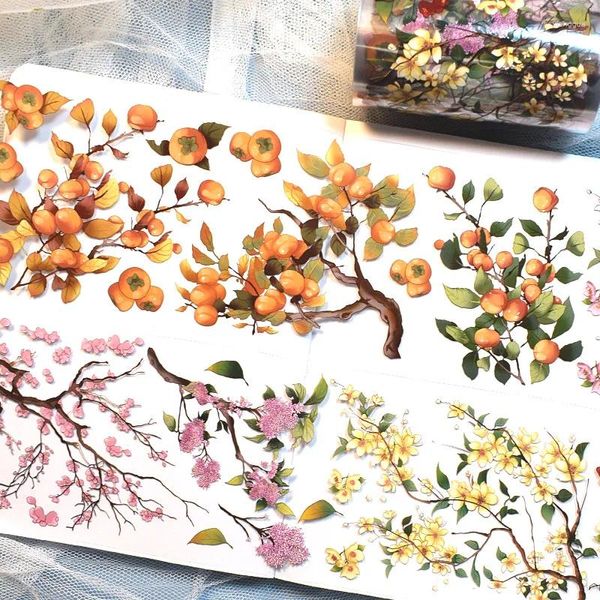 Envoltura de regalo 2m Planta PET Cinta Flor Transparente DIY Scrapbooking Planificador Etiqueta decorativa Material de diario estético japonés