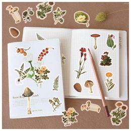 Cadeaupapier 40 stks 20 Design Zee Plant Dier Washi Papier Sticker Sticky Esthetische Decoratieve Plakboek DIY Kind Briefpapier Leverancier voor Kinderen