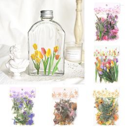 Emballage cadeau 40pcs / Pack Étiquette Autocollants Imperméables Plante Fleur Fleurs Autocollant Pack Décoratif DIY Main Compte Tag Scrapbooking PET Paster