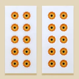 Emballage cadeau African Daisy Stamps 2024 Tampon postal inutilisé avec marque de poste pour collecter