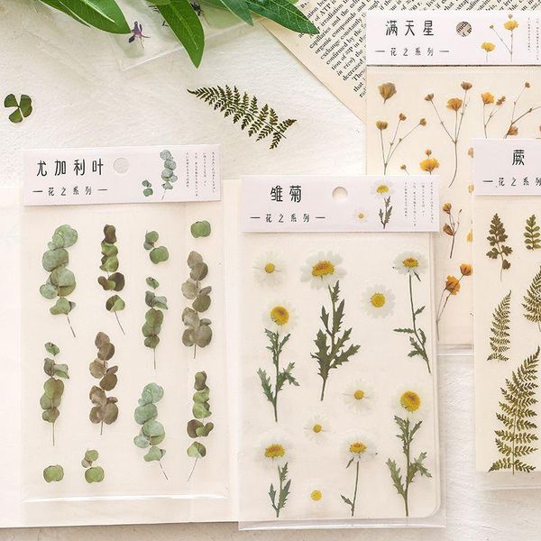 Enveloppe cadeau Eucalyptus Lavender Daisy Flower Stickers Scrapbooking Pet Material Clear Pet Style Conception de plantes Diary Diary Decoration