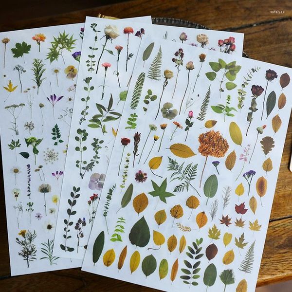 Papier Cadeau Plante Feuilles Fleur Frotter Sur Autocollants Esthétique Scrapbooking Journal Déco Transfert Autocollant Journal Toile Décoration DIY Artisanat