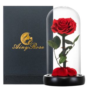 Cadeaux pour maman La Belle et la Bête Rose éternelle Fête des mères Fleurs fraîches Femmes Son 240223