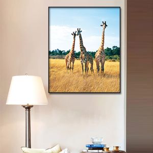 Affiche girafe sur l'herbe dorée, 1 pièce, décor mural moderne pour la maison, toile, image d'art, peinture imprimée HD sur toile pour salon