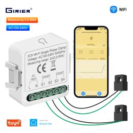 Girier Smart Power Metter WiFi WiFi Energy Monitor avec 1/2 Current Transformateur Blamp Support Utilisation de l'électricité Soutien bidirectionnel