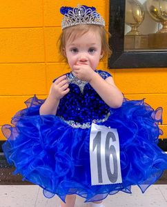 Meisje Cupcake Pageant Jurk voor Little Miss 2023 Royal Blue Sequin Glitz Baby Kids Verjaardag Formele Feestjurk Baby Peuter Designer Ruffles Rok Mini Real Image