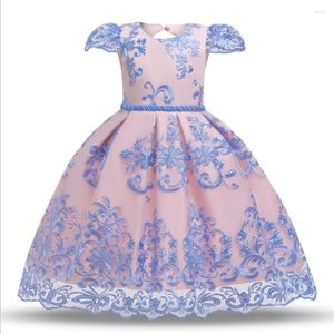 Fille robes bébé filles moelleux broderie perles robe de princesse enfant en bas âge enfants fête d'anniversaire Vestidos enfants vêtements décontractés porter