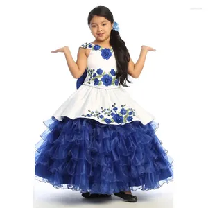 Robes de fille bleu Mini Quinceanera robe de bal col en v Organza Appliques fleur pour les mariages mexicain Pageant bébé