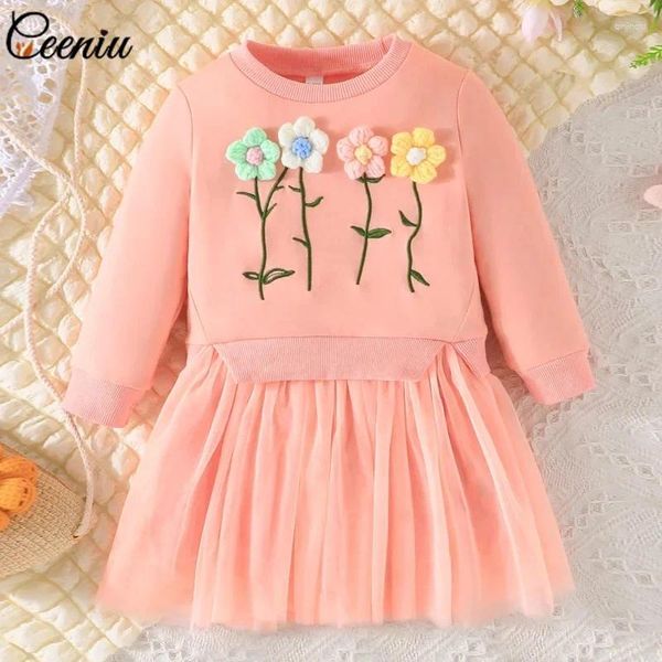 Vestidos de niña ceeniu 0-3y otoño bordado de bebé bordado pequeño vestido de princesa para niñas para niñas ropa para niños