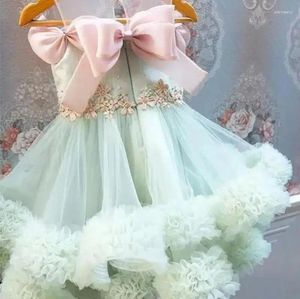 Robes à fleurs pour filles, pour mariage, vert clair, plissées, bouffantes, sans manches, avec nœud, robes de bal pour fête d'anniversaire, première Communion pour enfants