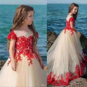 Robes de fille Fleur Filles Robe Dentelle Appliques Tulle Sans Manches Longueur De Plancher Dos Nu Première Communion Fluffy Parti Piano Performance Robe