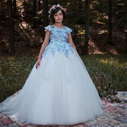 Robes de fille fleur filles moelleux Appliques robe de bal Tulle reconstitution historique princesse bal fête anniversaire mariage première Communion