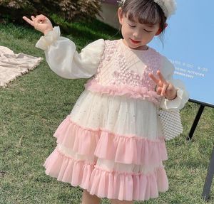 Girl Dresses Girl's Retail 2023 Fall Fleece Red Cartoon Lace Dress Princess Kids Elegante bloemenkleding 1-4t