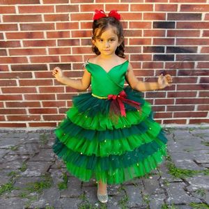 Vestidos de niña Pino verde Flor de cumpleaños Disfraces de fiesta de boda de primera comunión Pografía Gota personalizada