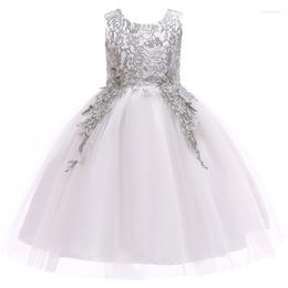 Meisjesjurken in voorraad verjaardagsbanket eerste vestido de comunion hoogwaardige prom jurk applique kant voor childern bruidsmeisje jurken1