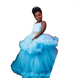 Fille Robes Enfants Robe De Bal Première Sainte Communion Robe Cygne Cristal Tulle Pageant Pour La Fête D'anniversaire Perles Fleur