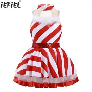 Meisjesjurken Kinderen Meisjes Kerstkostuum Mevrouw Santa Elf Cosplay Candy Cane Mesh Patchwork Gestreept Tutu Turnpakje Jurk Prinses Dansoutfits