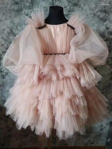 Robes de fille belle robe de bébé rose avec manches longues bouffantes col rond tenue Tutu pour bébé enfant premier anniversaire cadeau de noël 12 M 24 M