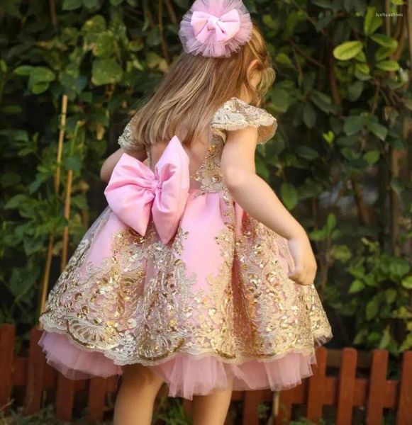 Vestidos de niña Vestido de flores de encaje de princesa para boda Tul bordado hinchado Niños Fiesta de cumpleaños de Navidad Vestido de fiesta de belleza