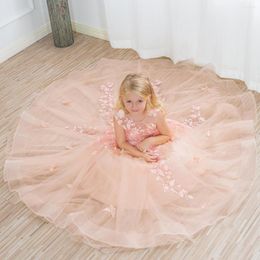 Fille Robes Réel Po Tulle Princesse Fleur Robe Papillon Floral Appliques Sans Manches Parti Robe De Bal Enfants Filles Pagent