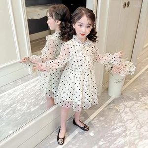 Vestidos de chicas Spring and Autumn Summer Net Hyarn Girls Dress Sand Princess Children Children Long-Sleved Polka Dot Tutu Falda