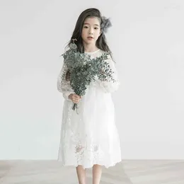 Robes de fille printemps robe en dentelle blanche enfant en bas âge vêtements pour enfants 2024 fête d'anniversaire à manches longues enfants pour filles princesse JW3402