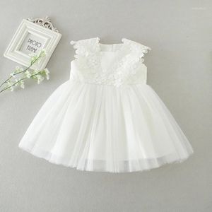 Robes de fille en gros lien de bébé robe baby fleur fleur en bas âge baptême baptême robe pour la fête anniversaire de mariage 0-24 mois w1