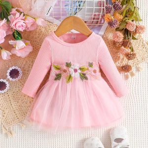 Robes de fille Robe pour enfants 3-24 mois à manches longues à manches longues mignonnes en maille en maille en tulle