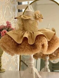 Robes de fille magnifique robe haut de gamme élégante fille première fête d'anniversaire robe de bal personnalisée robe brodée dîner de Noël formel y240514